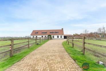 Hoeve in Maldegem