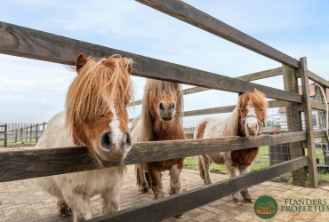 Hoeve in Maldegem