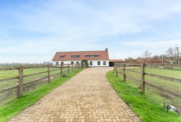 Hoeve in Maldegem